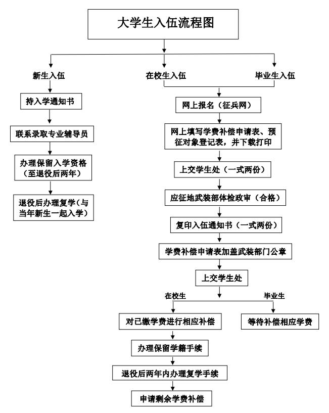 城镇户口当兵最新政策解读：报名条件、优劣势分析及未来趋势