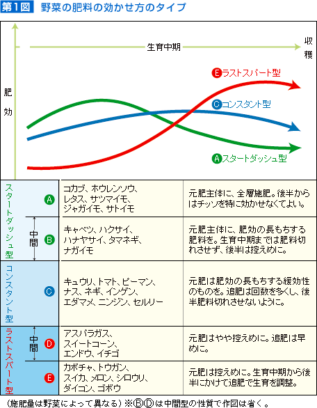 土肥原最新研究进展：技术革新与未来展望