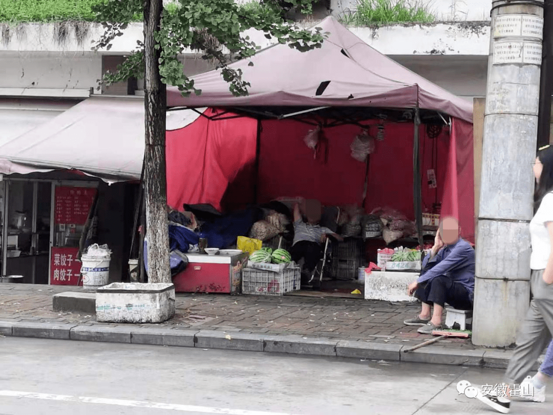 郑州恒翔公棚最新公告：赛鸽竞翔规则调整及未来发展趋势预测