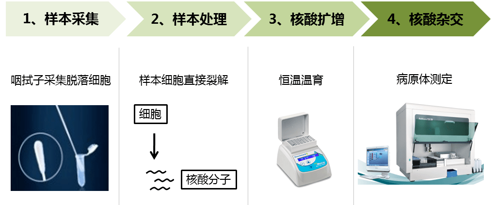 全球最新瘟疫爆发：病毒溯源、防控策略及未来挑战