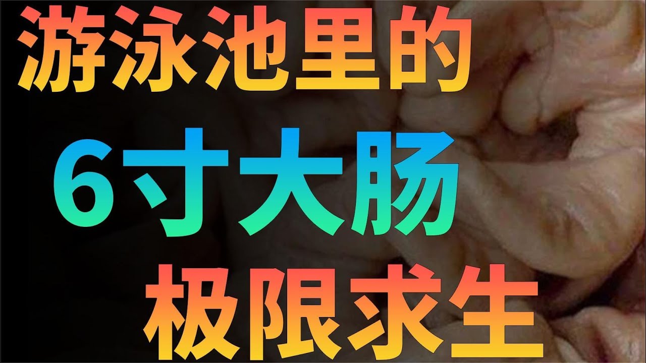 探秘最新重口：文化冲击、社会反应与未来走向