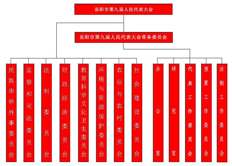 当阳市委最新领导班子组成及其对城市发展的影响