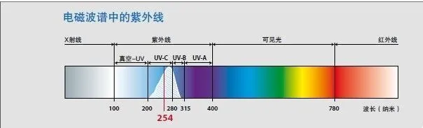 2024最新指甲片流行趋势：款式、材质及护理技巧全解析