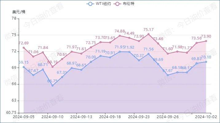 聚焦沈丘：今天沈丘新闻最新消息深度解读及未来展望