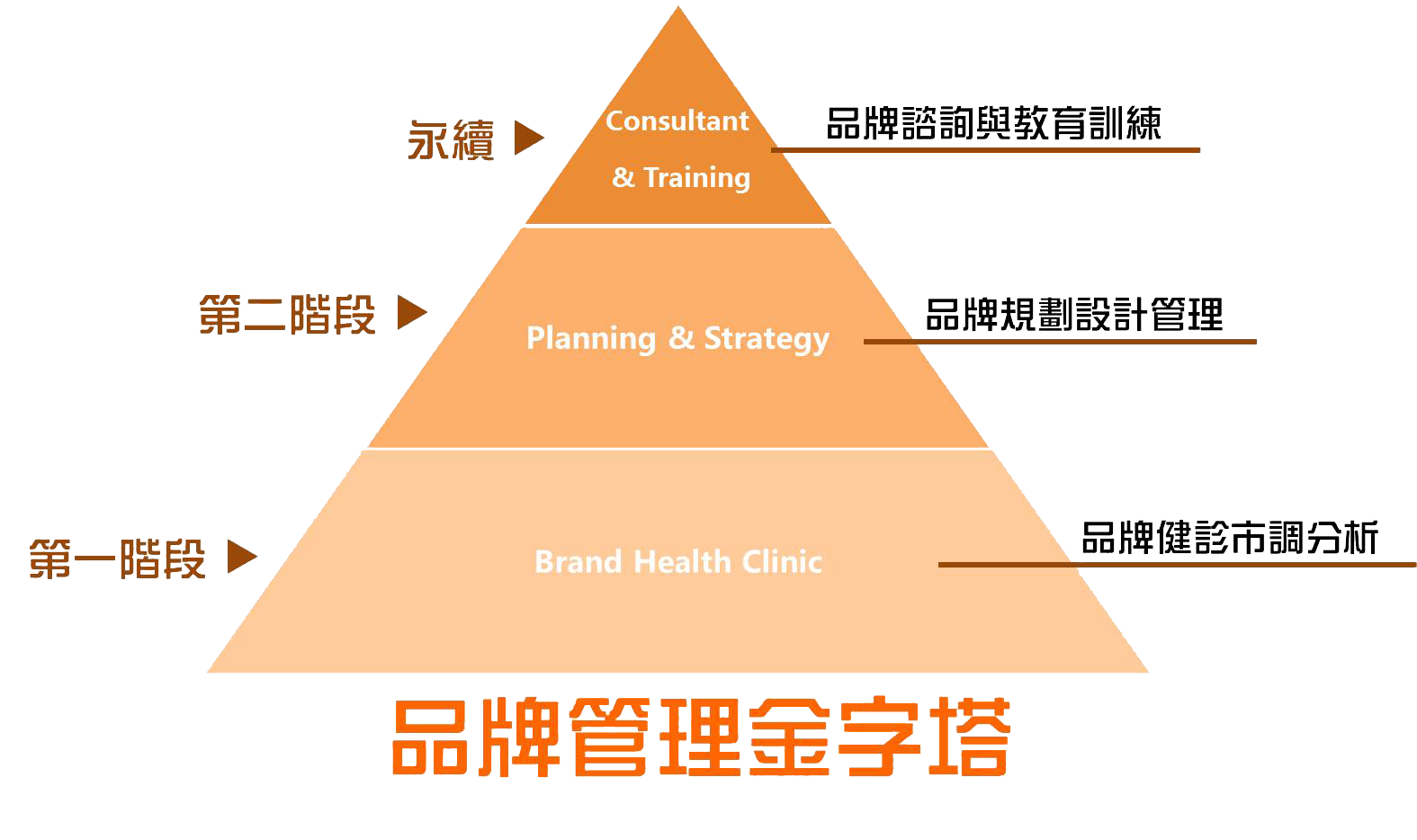 金南宫最新动态：深入解读市场趋势与未来展望