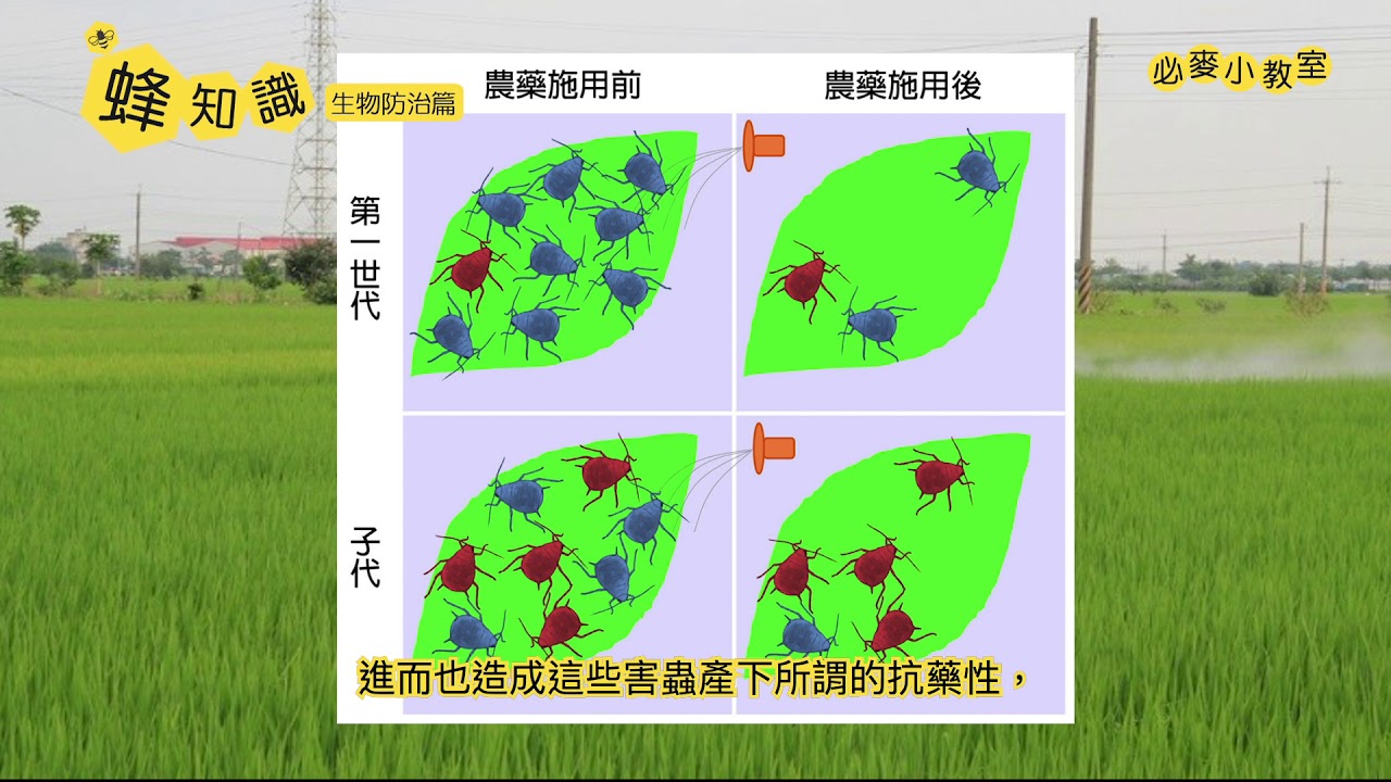 蝗虫最新状况：全球及中国地区蝗灾防控的现状与未来挑战