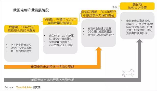 猫咪最新跳转：解读网络热词背后的现象与趋势