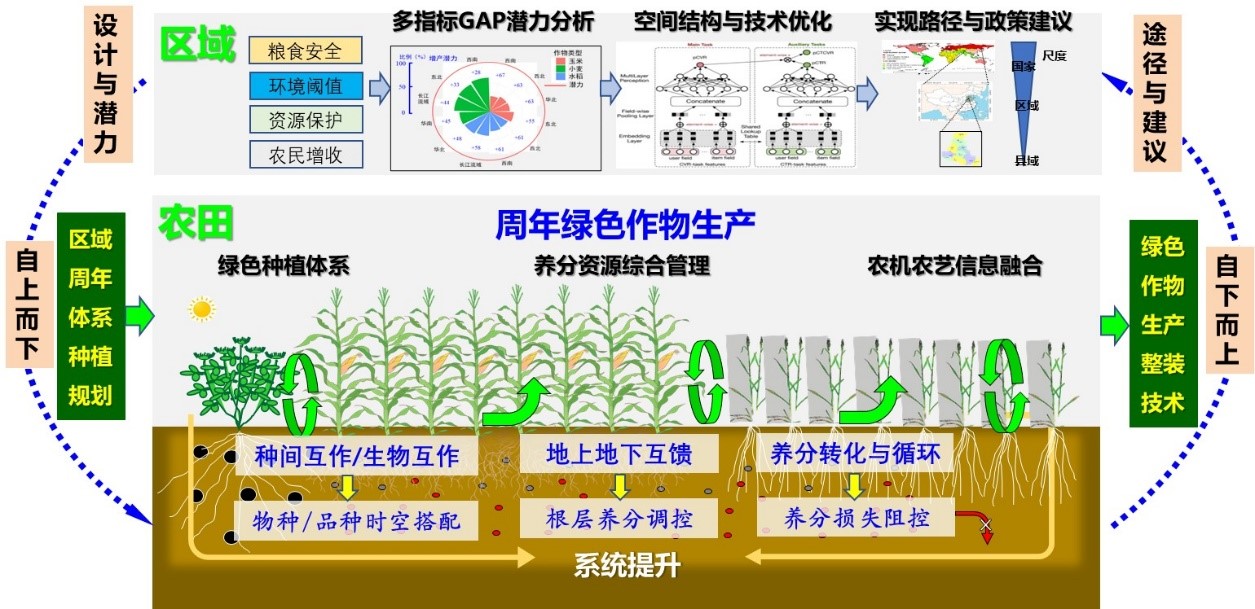 2024年最新农药抽检报告解读：风险、挑战与未来趋势