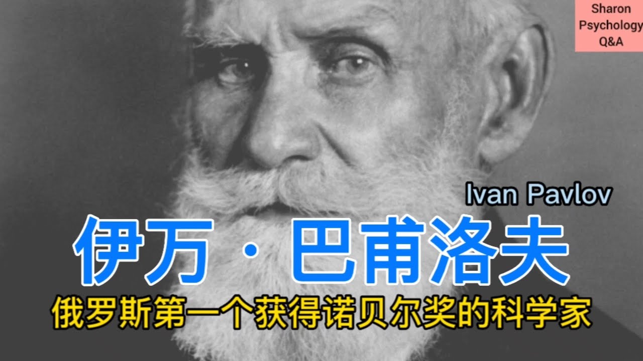 解读最新巴普：技术革新、市场趋势与未来展望