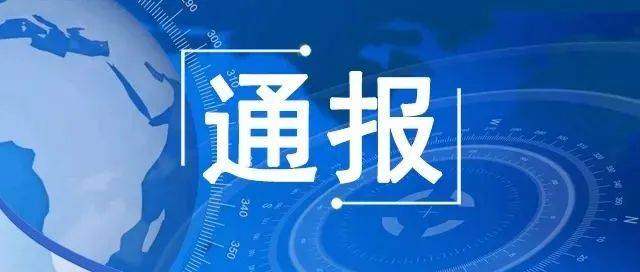 解读我最新通报：形势分析、应对策略及未来展望