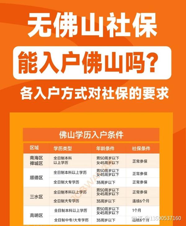 佛山最新通告解读：政策变化与社会影响深度分析