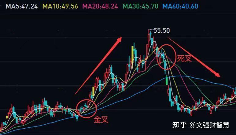 深度解读002495股票最新消息：投资风险与未来走势预测