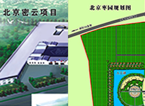 北京中祥和美最新消息：发展现状、未来趋势及潜在挑战深度解读