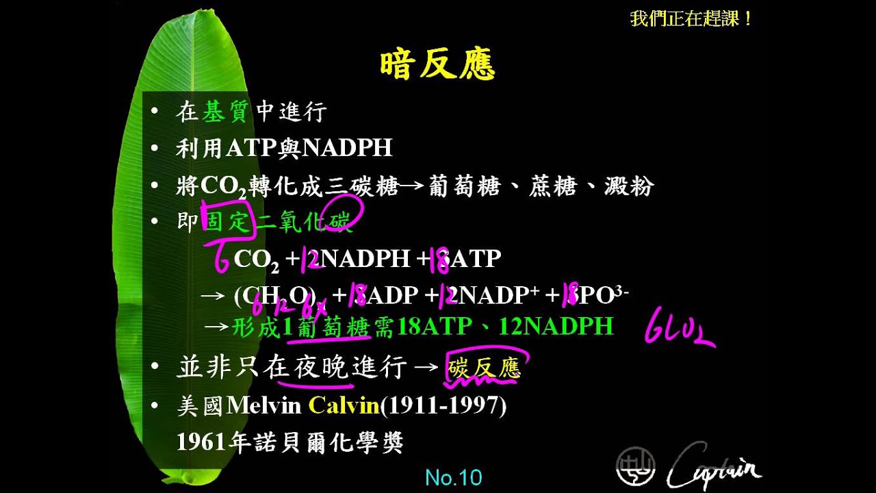 深度解析：最新暗煞技术，发展趋势与潜在风险