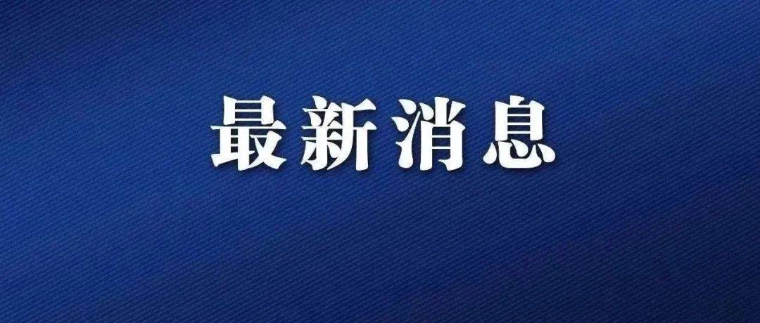 高陵长畔最新消息：发展现状、未来规划及潜在挑战深度解读