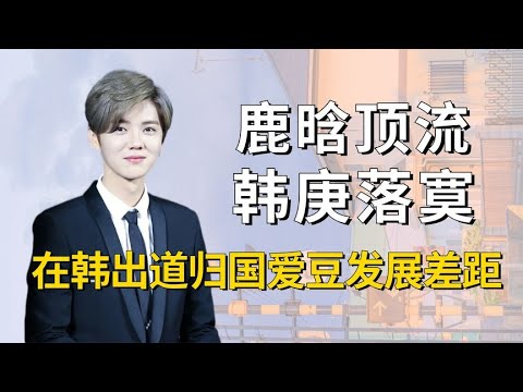 鹿晗2024最新消息：演艺事业新动向与个人生活动态全解析