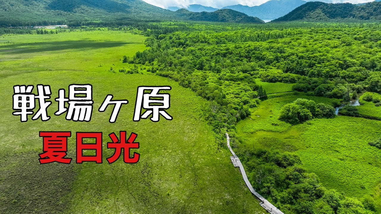 天夏智慧最新消息：技术革新、市场动态及未来发展趋势深度解析