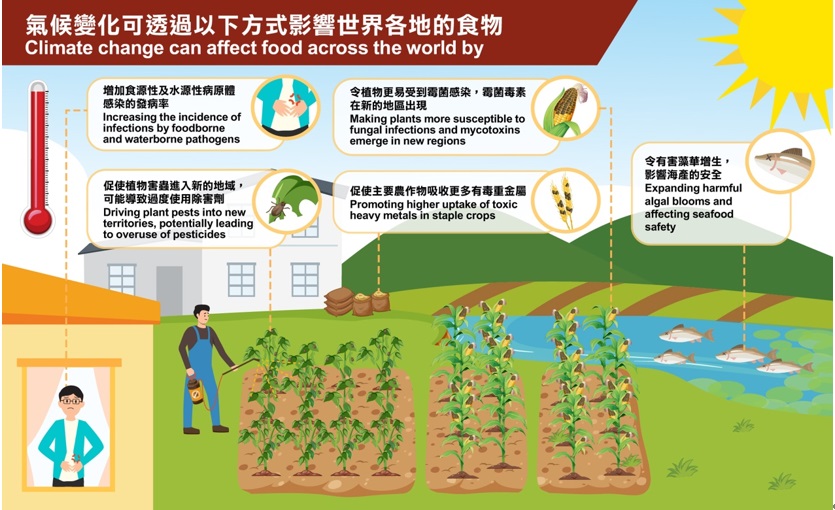 中央天气最新播报：解读未来天气趋势及影响