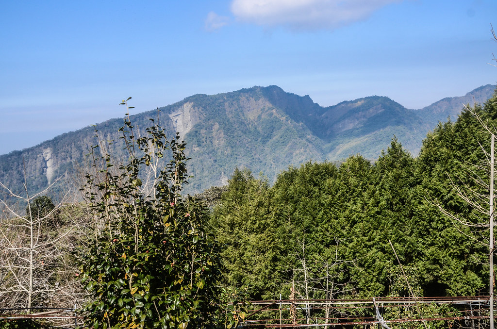 大靠山最新资讯：解析其发展趋势和未来风险