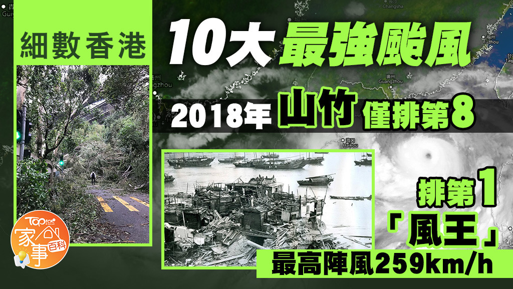 奉贤台风最新消息：防御措施、灾后重建及未来挑战