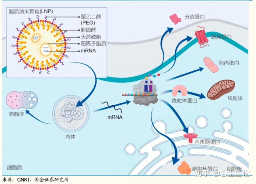 疫苗最新新闻：解读2023年秋季疫苗接种动态及未来趋势