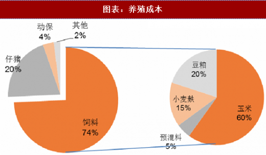 生猪最新行情深度解析：价格波动趋势及未来走势预测