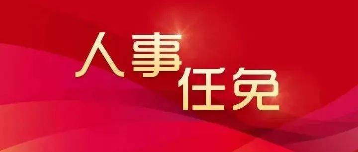 江苏最新人事任免：解读省内领导干部调整及未来发展趋势